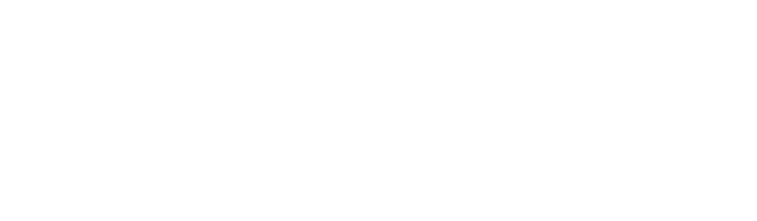 Paytient Logo in White